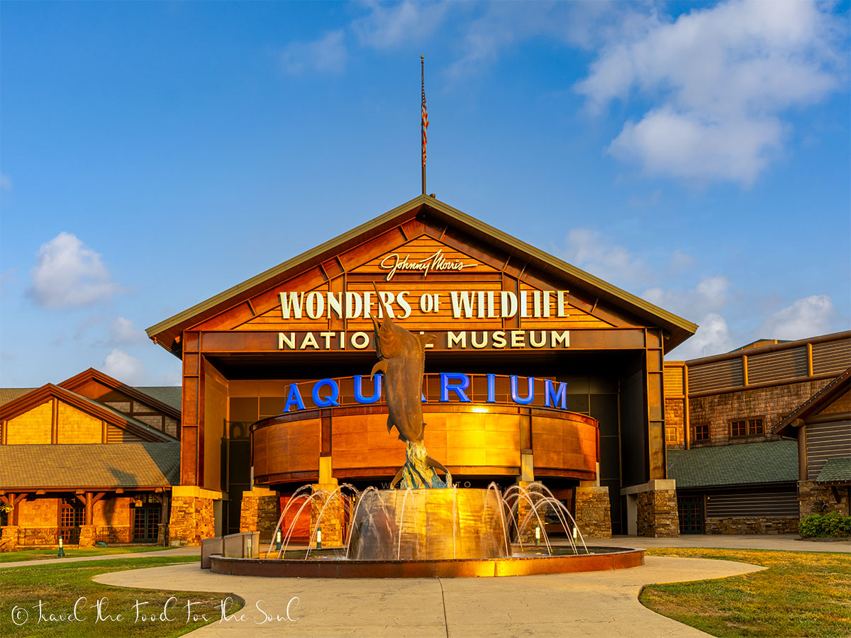 Wonders of Wildlife Missouri